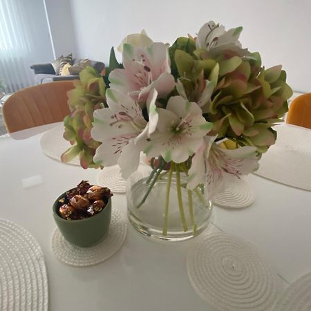 Heidy Sinaia 아파트 외부 사진